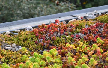 the cost of Drebley green roof installation