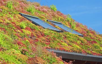 Drebley living roof systems