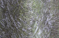 Drebley fibreglass roof work